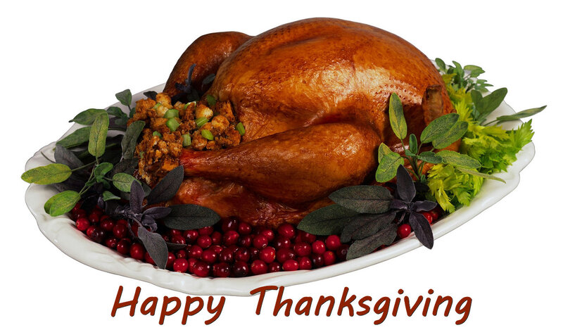 Roasted Turkey on Platter — Brown, Festive, Autumn, Photograph, Cranberries