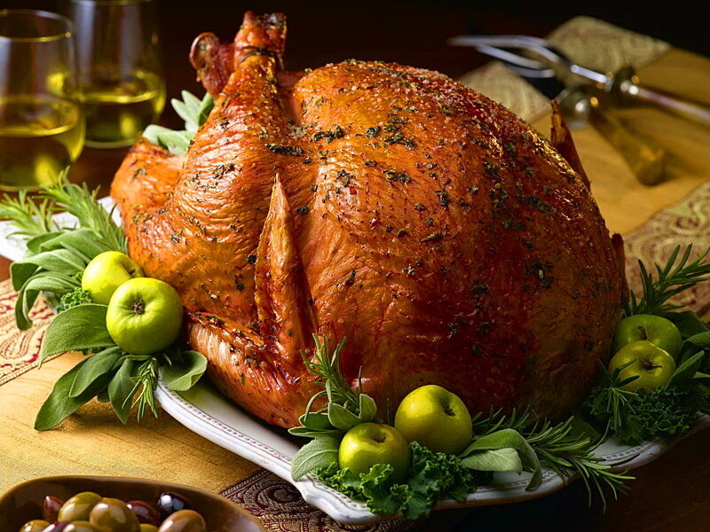 Roasted Turkey on Platter — Brown