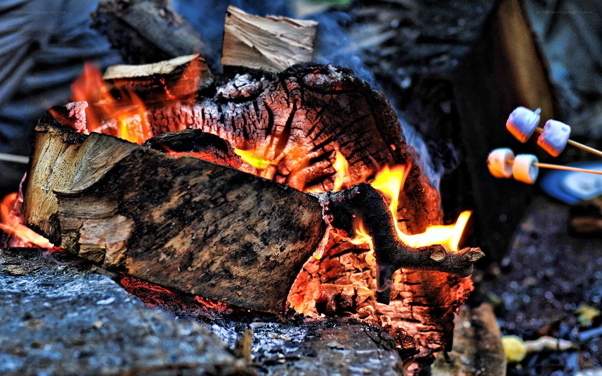 roasting marshmallows by campfire