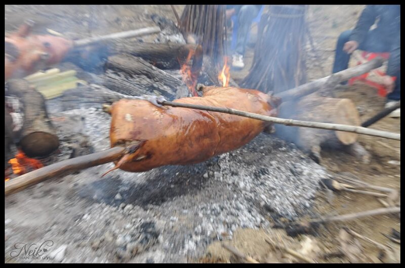 Roasting pig over fire