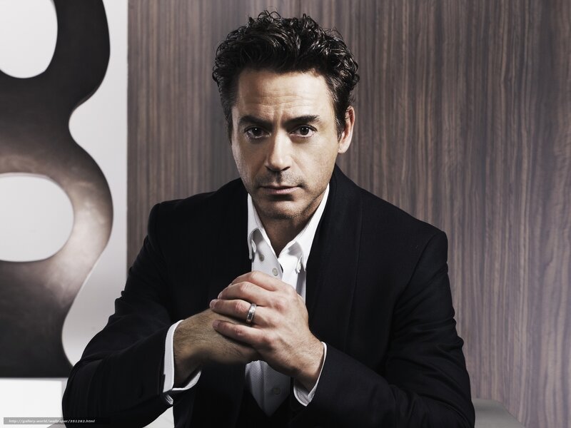 Robert Downey Jr. portrait
