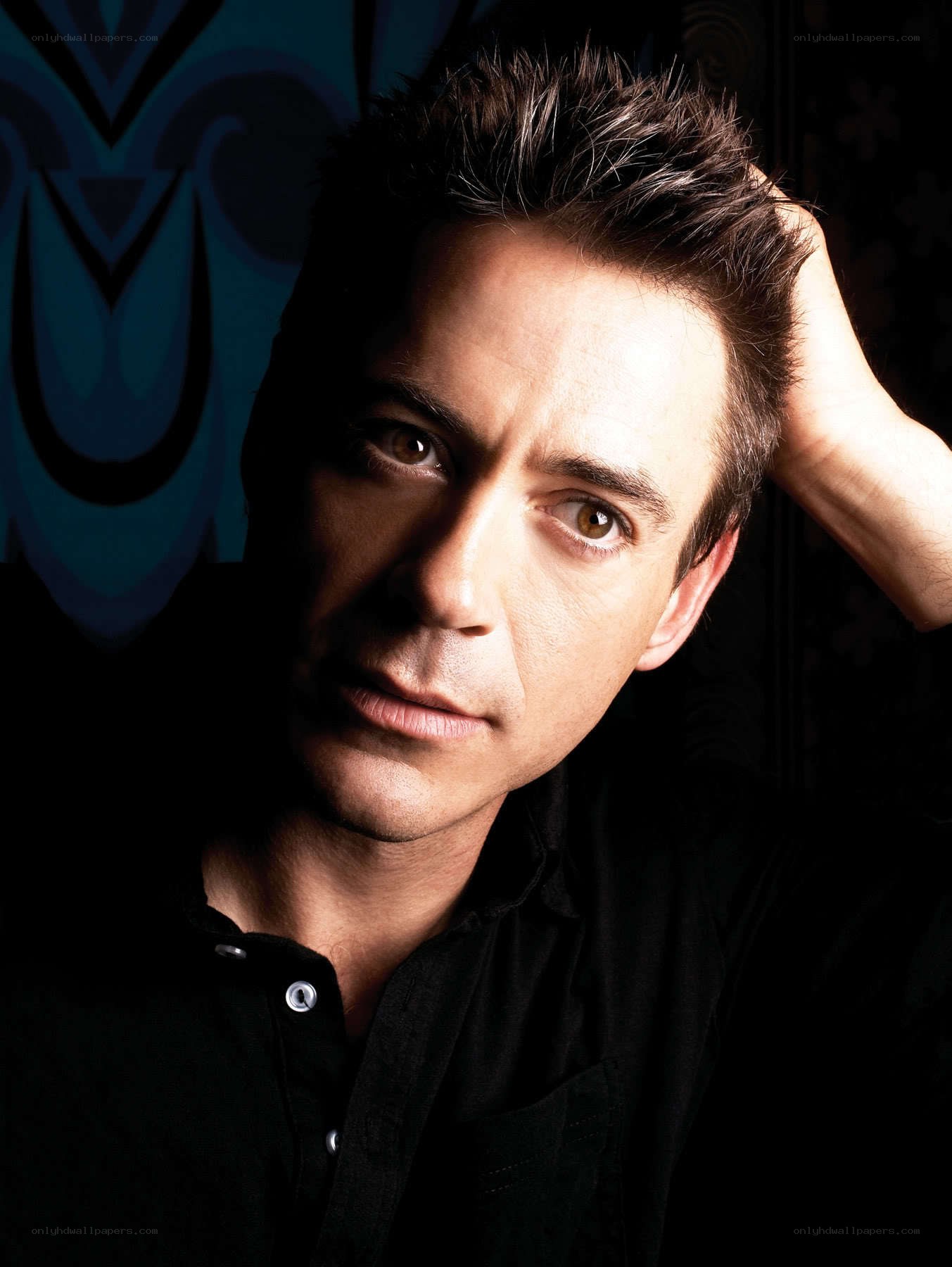 Robert Downey Jr. portrait
