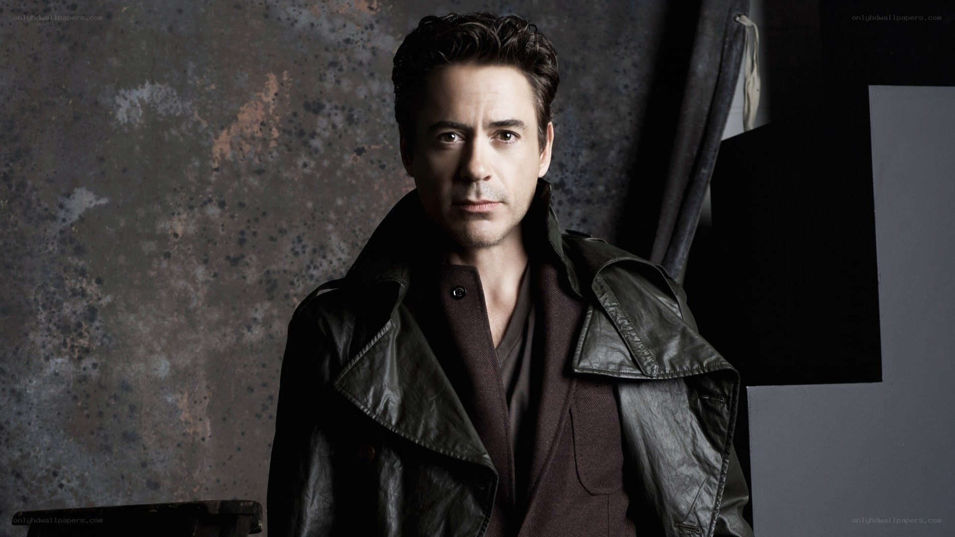 Robert Downey Jr. portrait