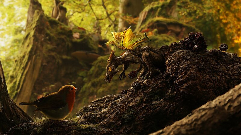 Robin and a small dragon
