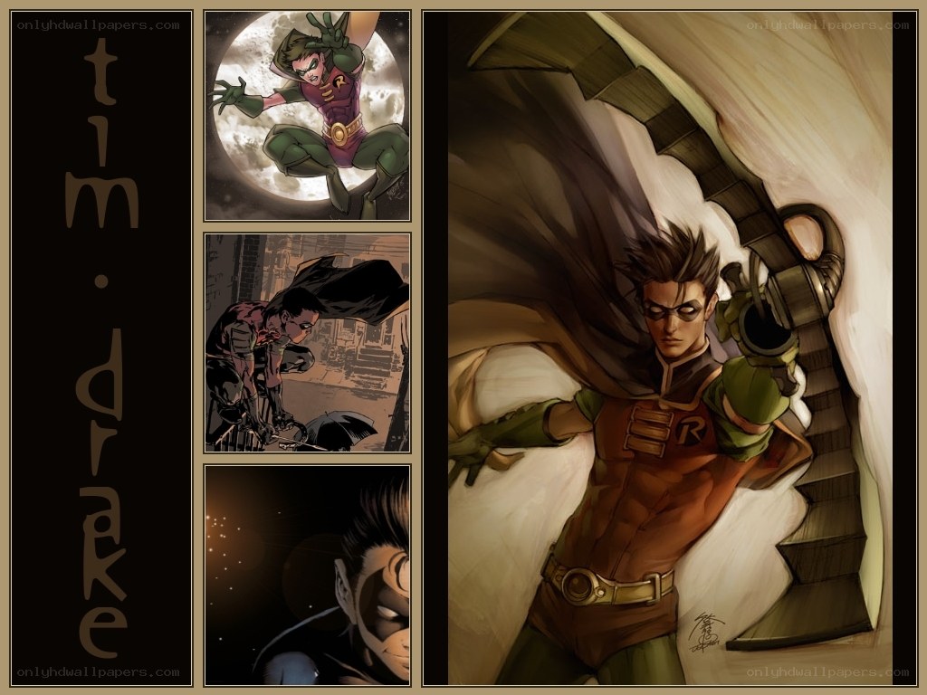 Robin character collage
