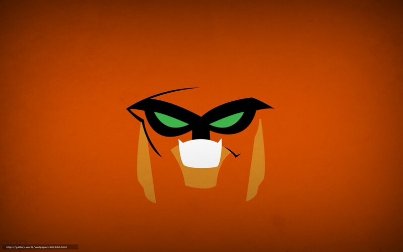 Robin character face