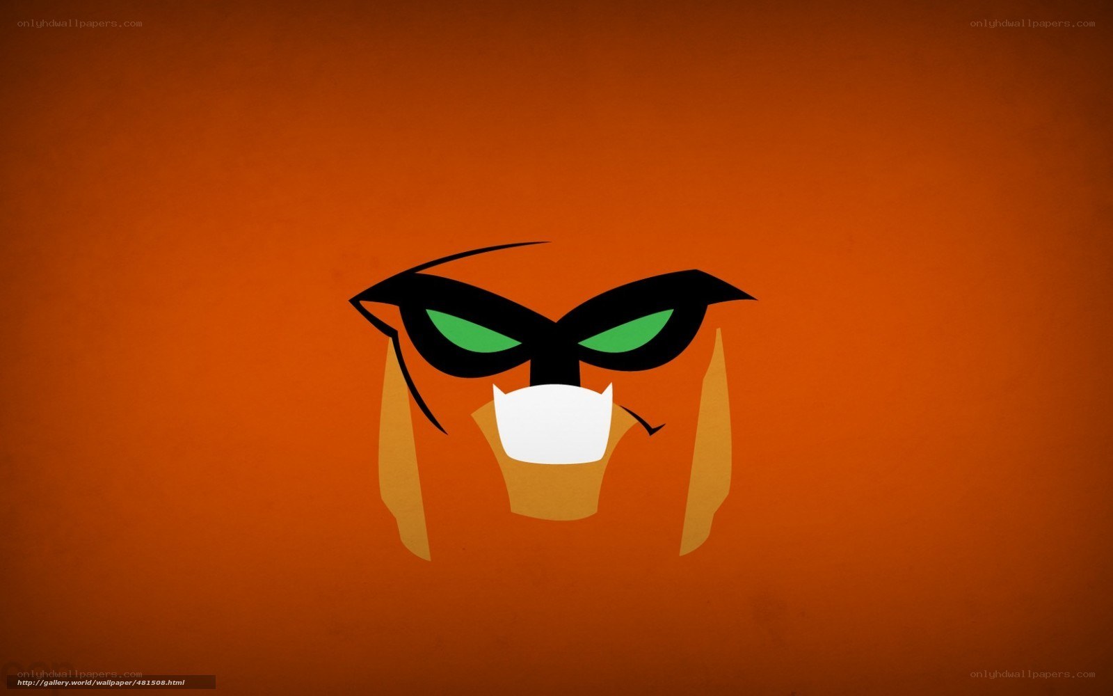 Robin character face