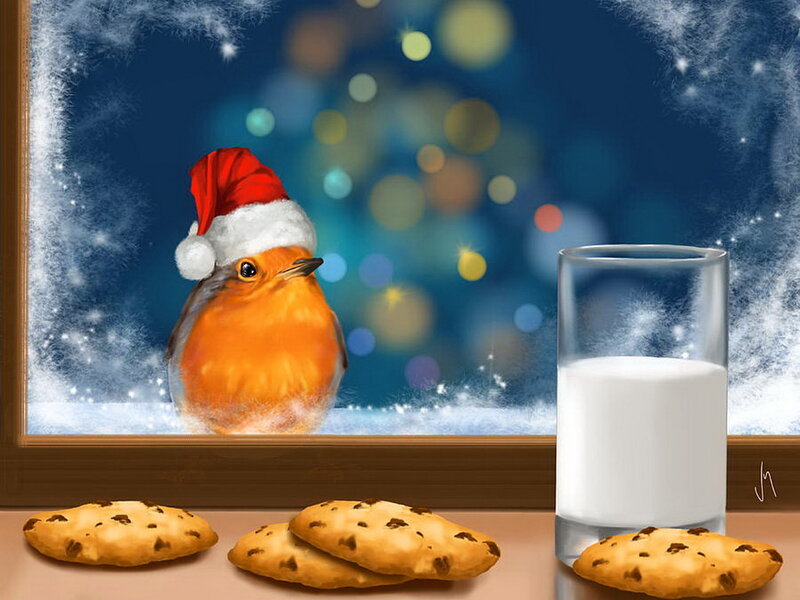 Robin in Santa Hat