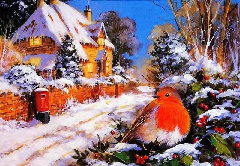 Robin in Snow — Red, Peaceful