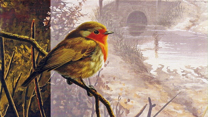 Robin on a branch