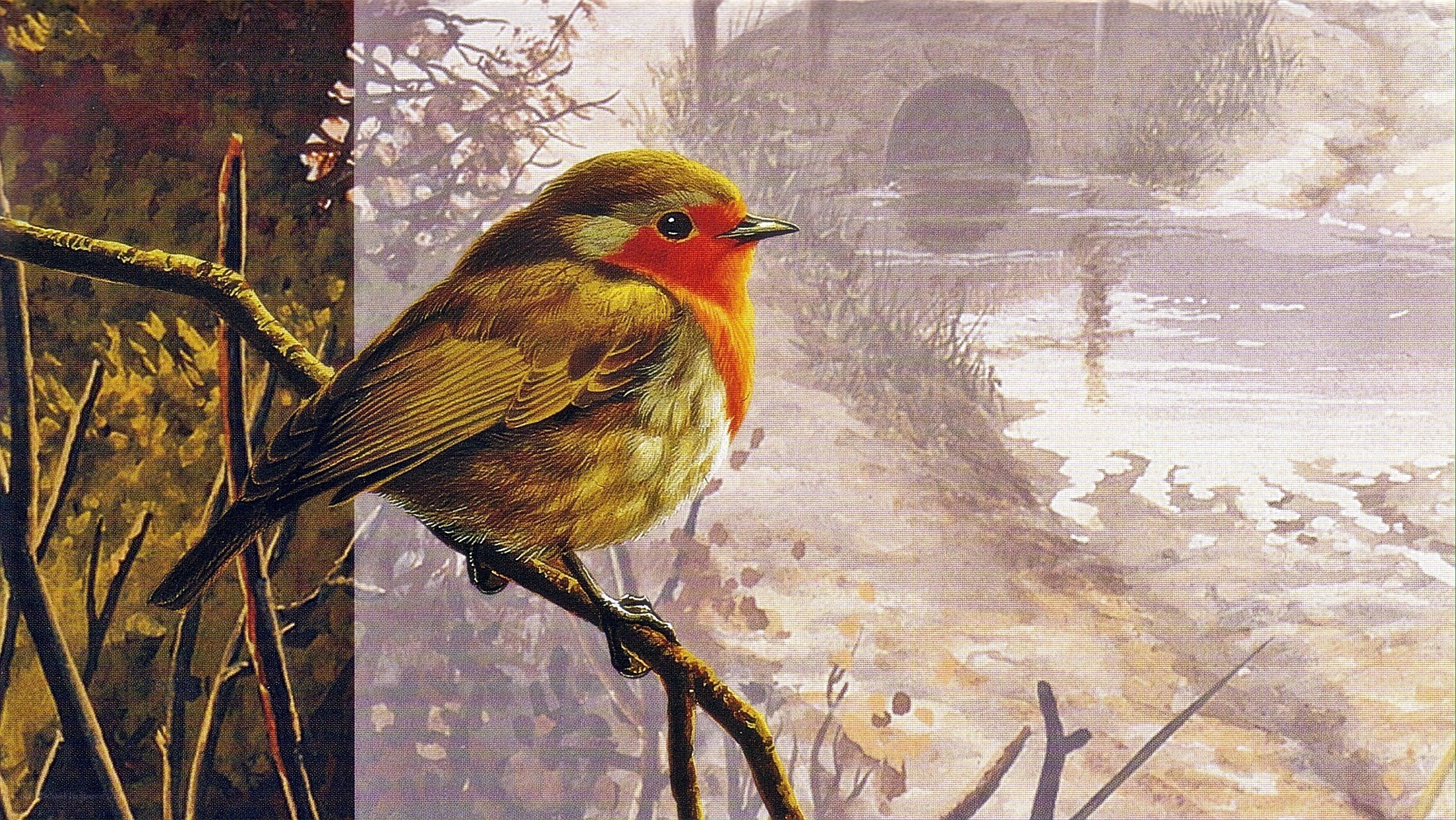 Robin on a branch