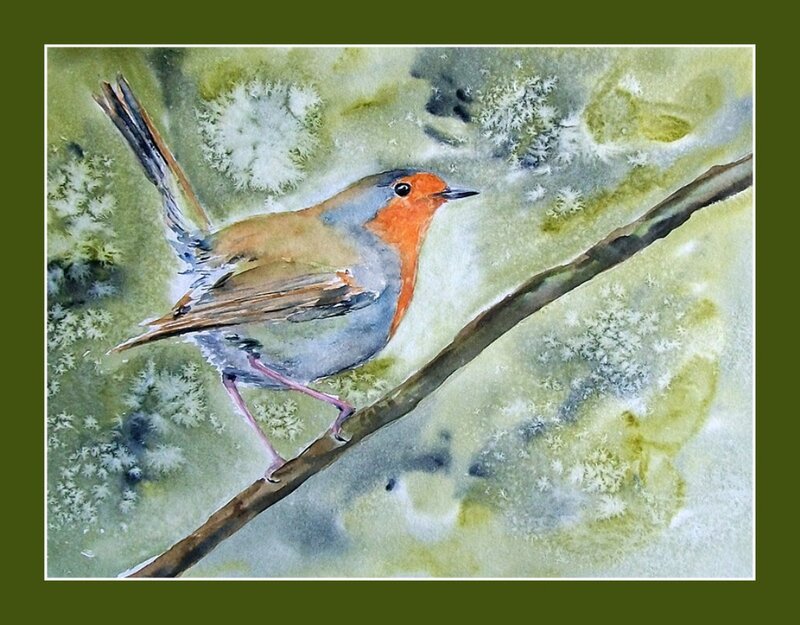 Robin on a Branch — Green, Calm, Winter