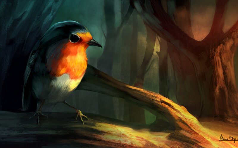 Robin on a Branch — Orange, Dramatic