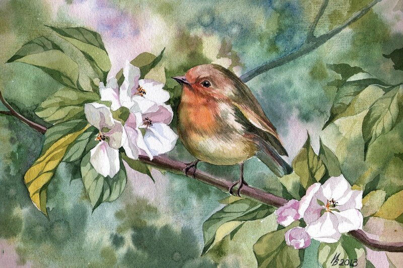Robin on Flowering Branch — Green, Serene