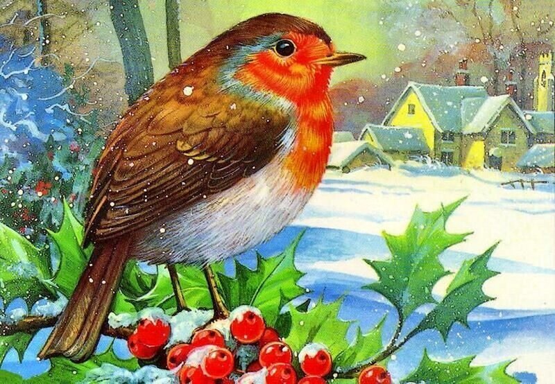 Robin on Holly Branch