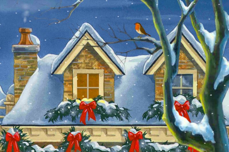 Robin on Snowy Roof