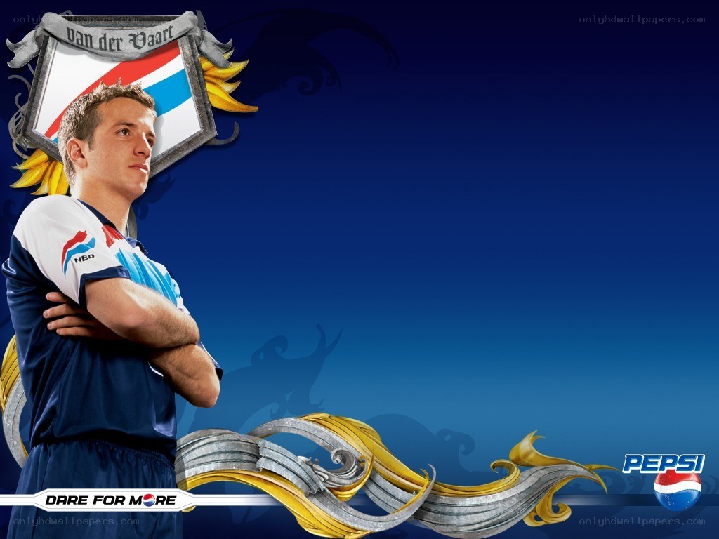 Robin van der Vaart football player