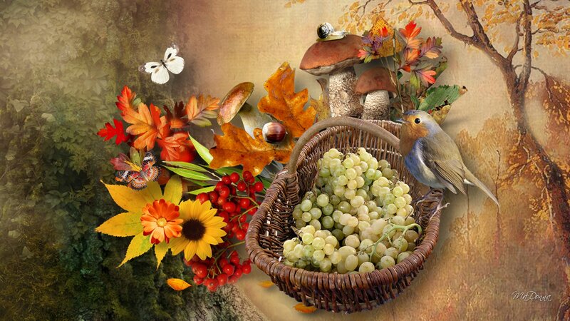 Robin with Grapes in Basket