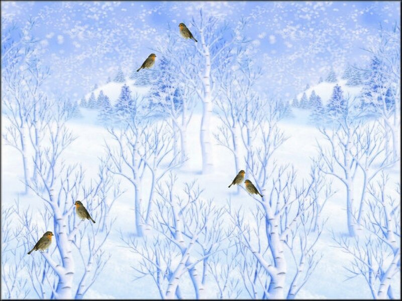 Robins in Snowy Trees