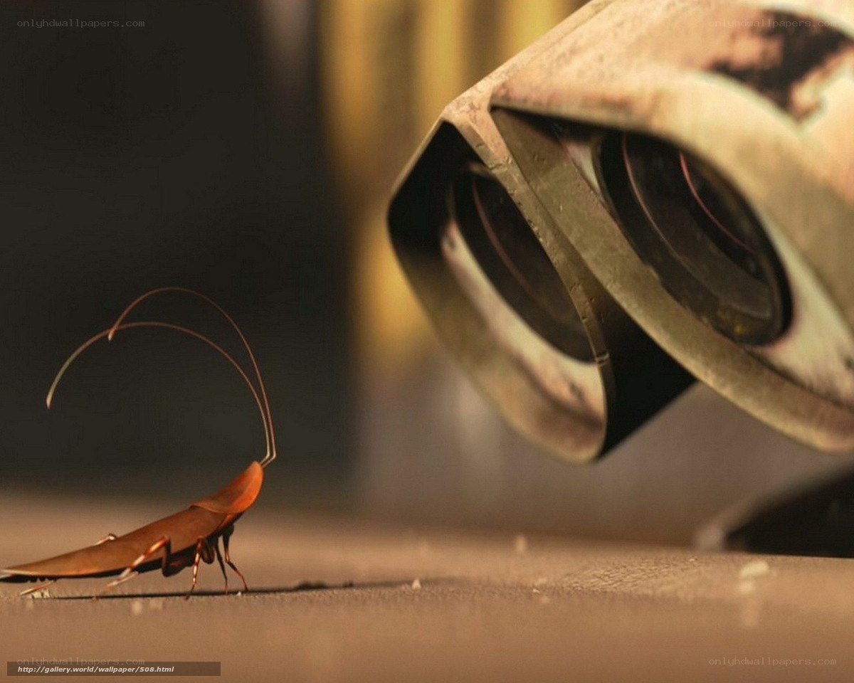 robot and cockroach encounter