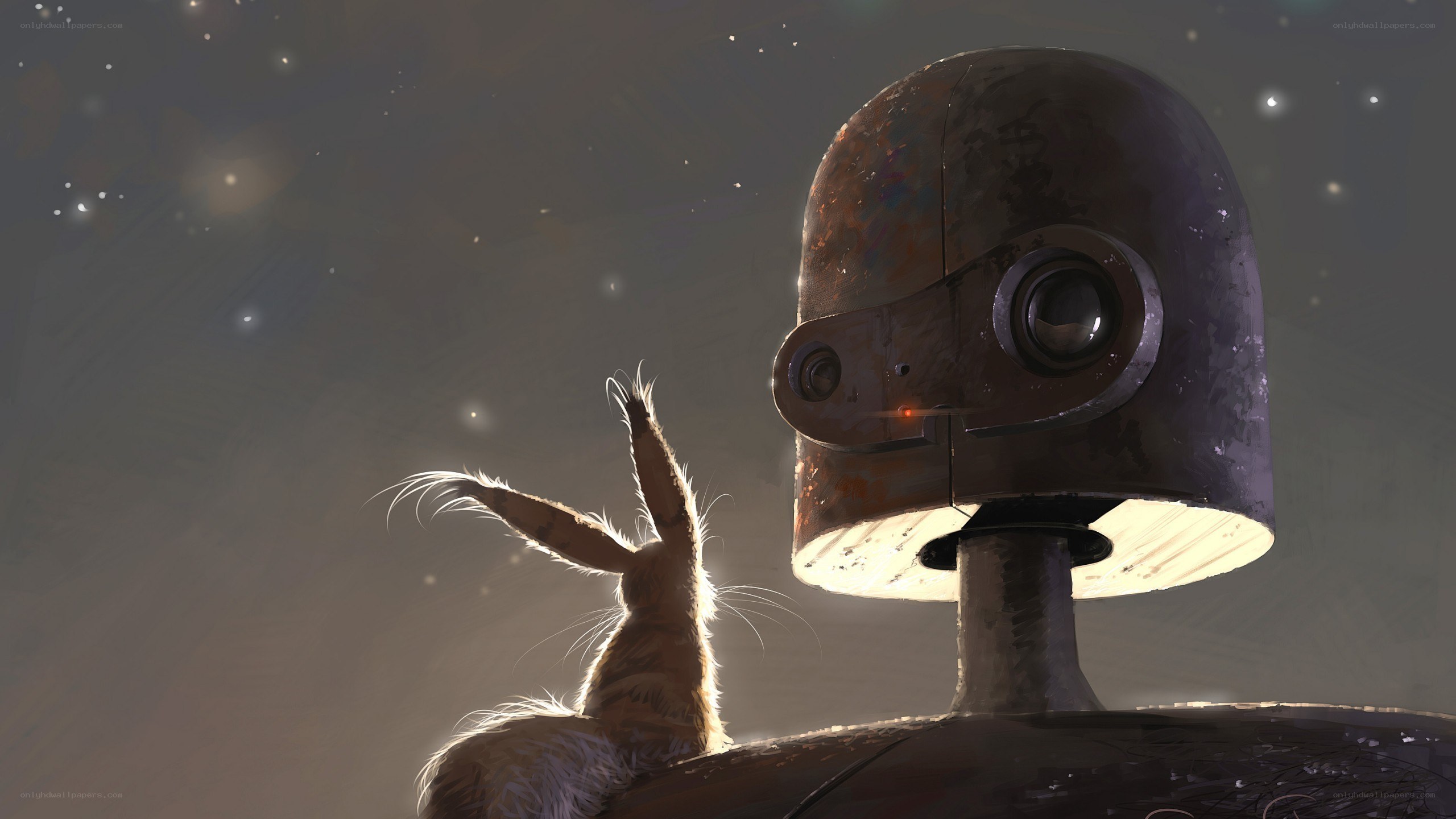 robot and rabbit under stars