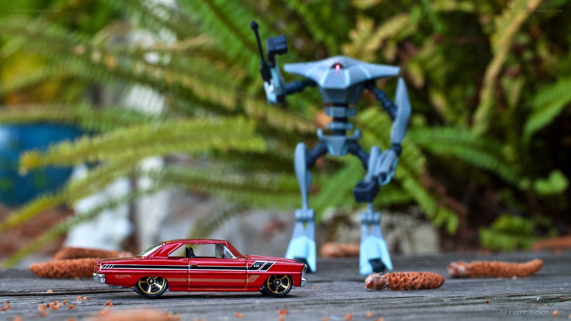 Robot and toy car in garden