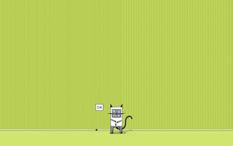 robot cat in a room