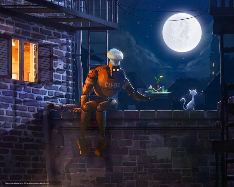 Robot chef on rooftop
