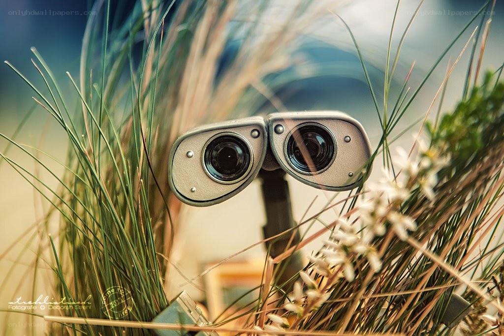 robot eyes in grass