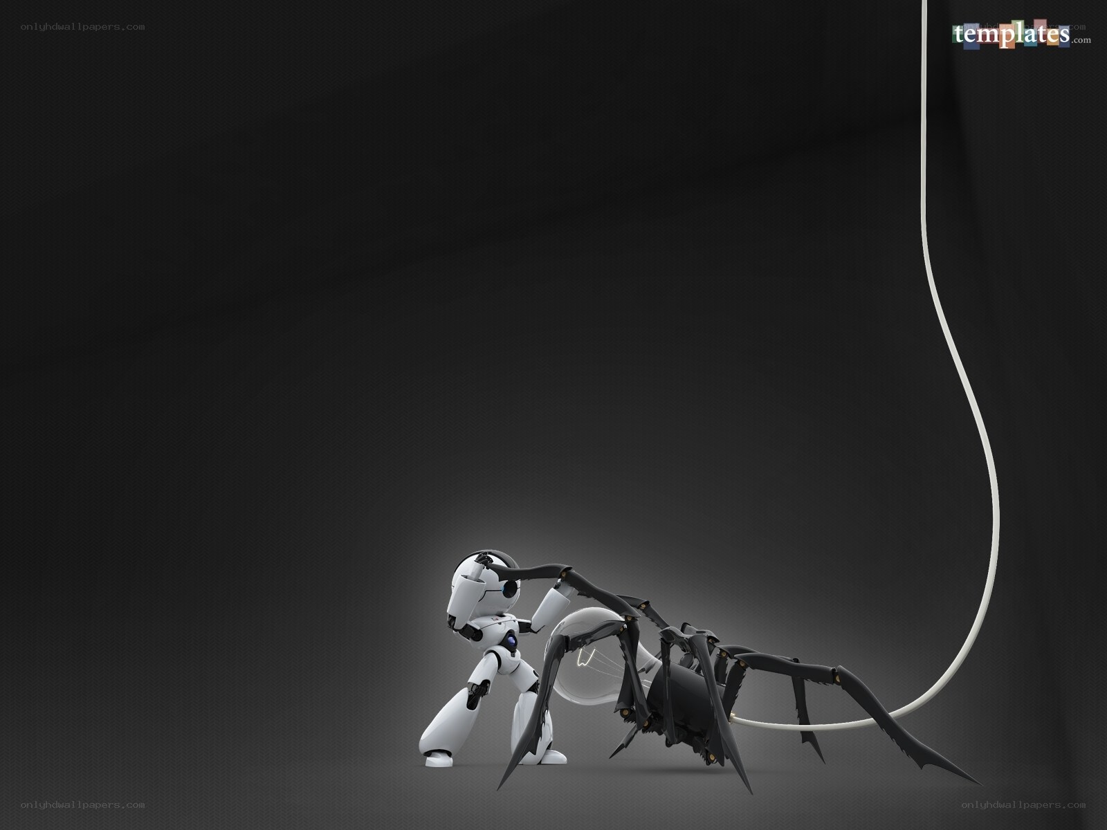 Robot fighting a spider robot