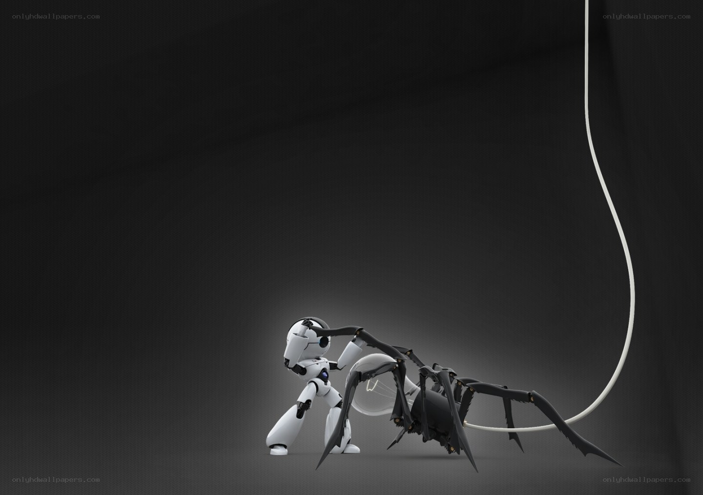 Robot fighting a spider robot
