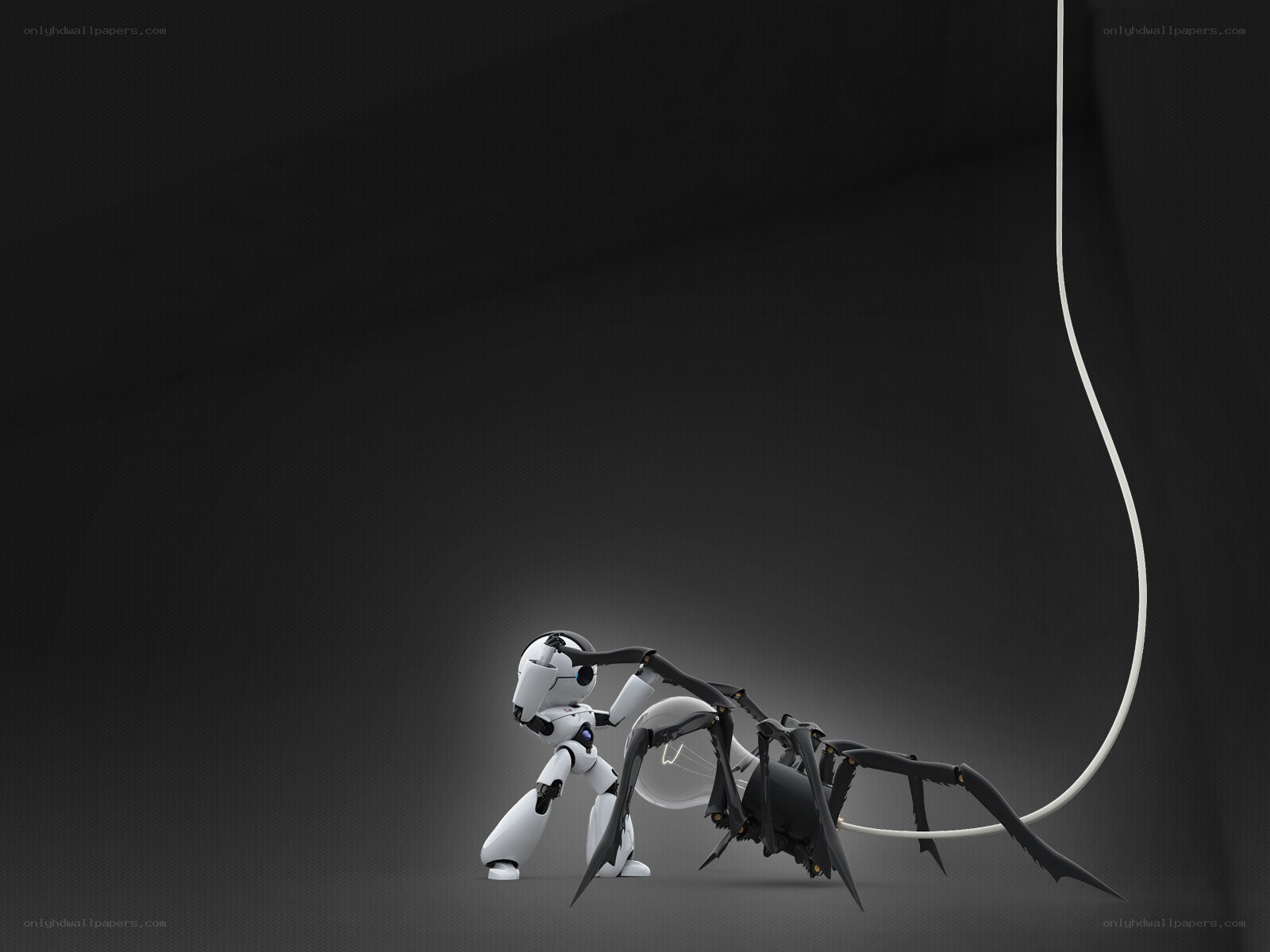 Robot fighting a spider robot