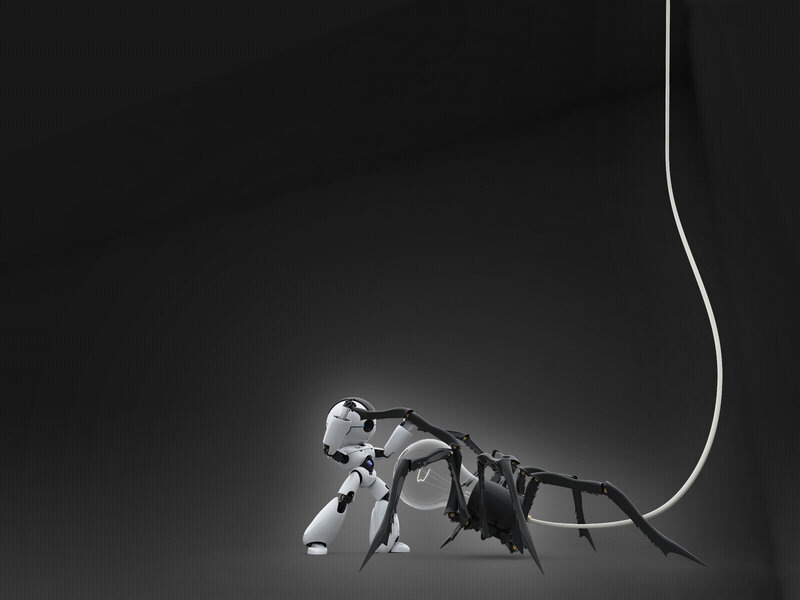 Robot Fighting Spider