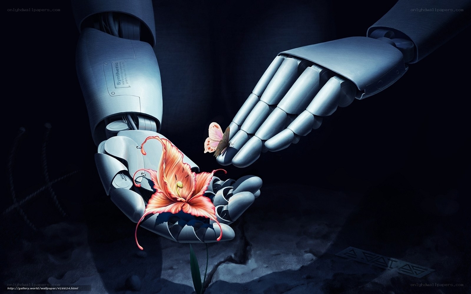 robot hands with flower and butterfly