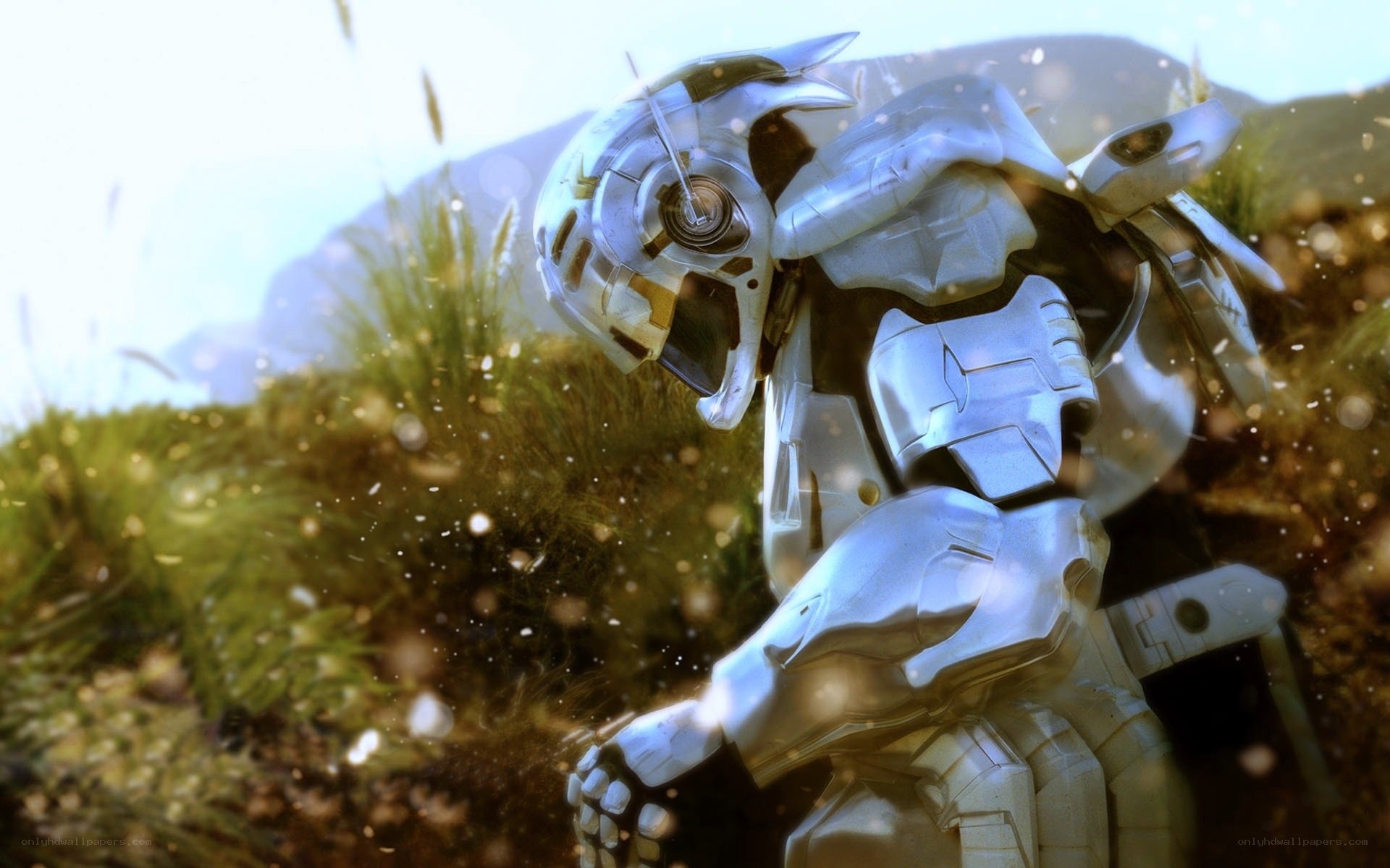 robot in a grassy field
