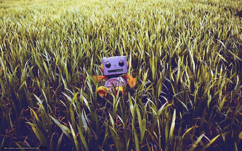 Robot in a grassy field