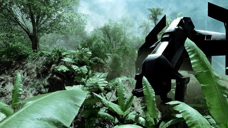 robot in jungle environment