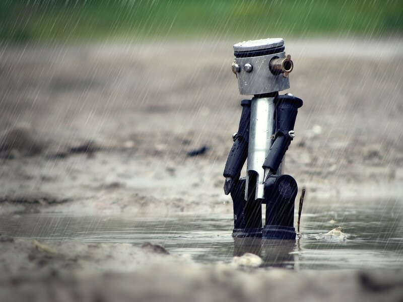 robot in the rain