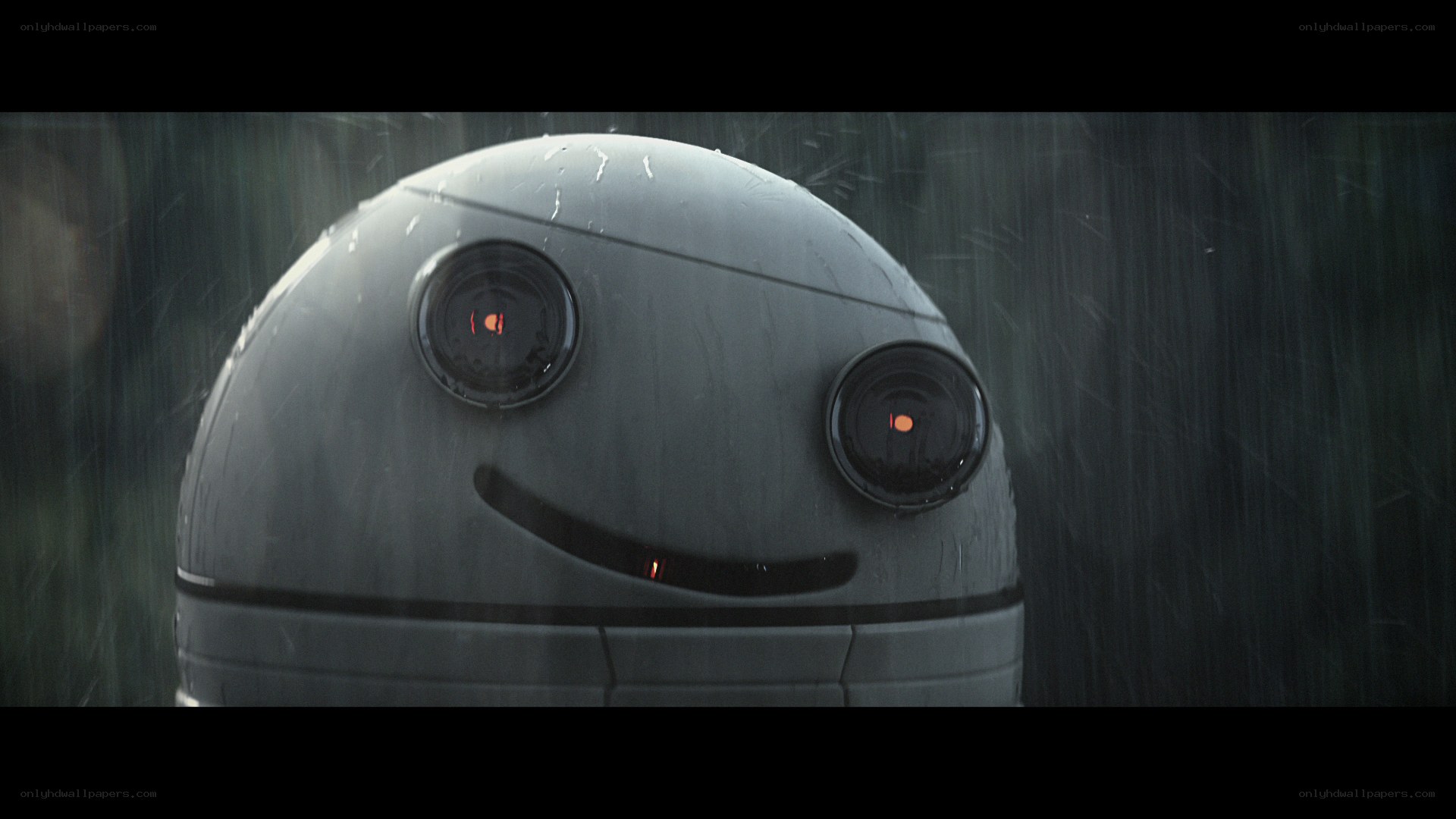 robot in the rain
