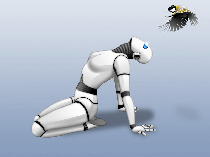 robot observing a bird