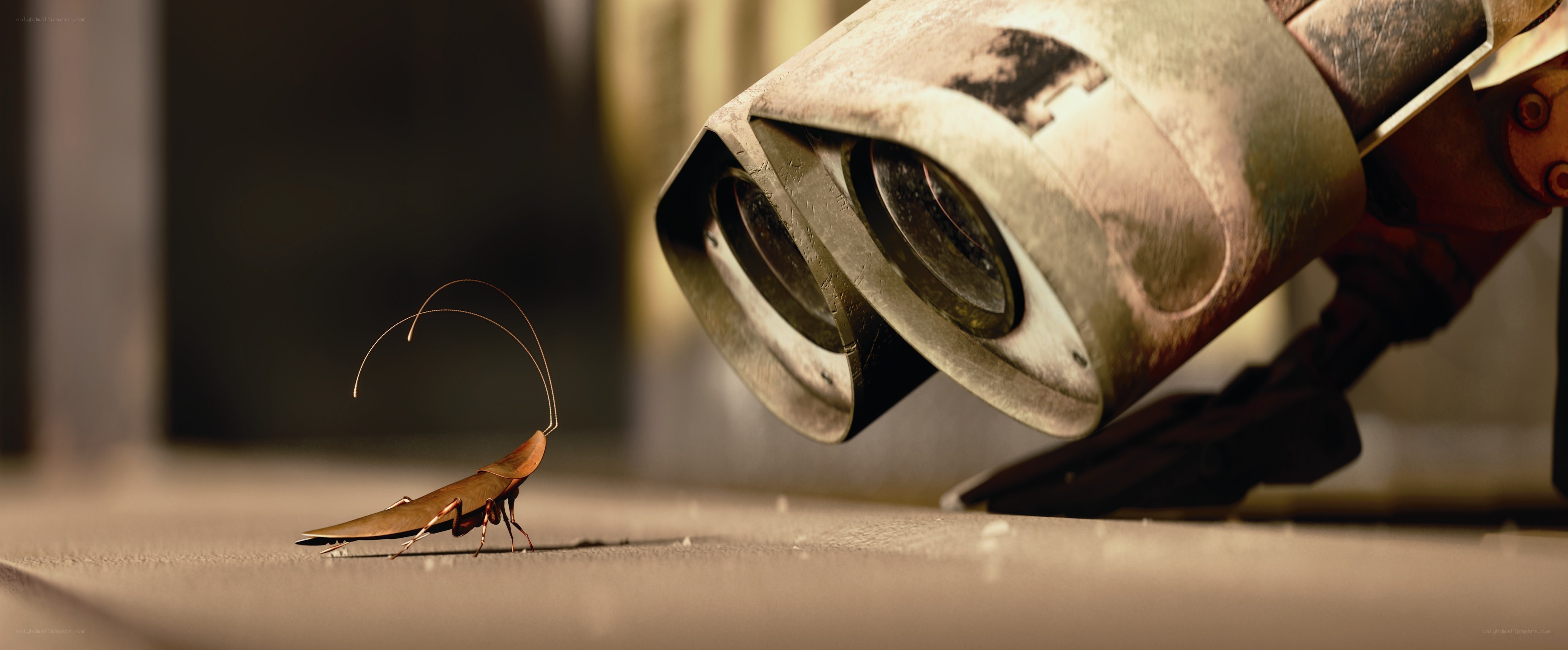 robot observing a cockroach