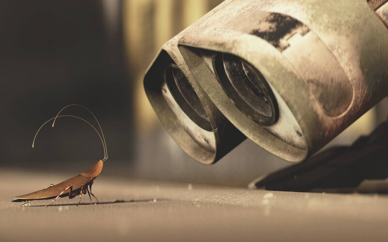 robot observing cockroach