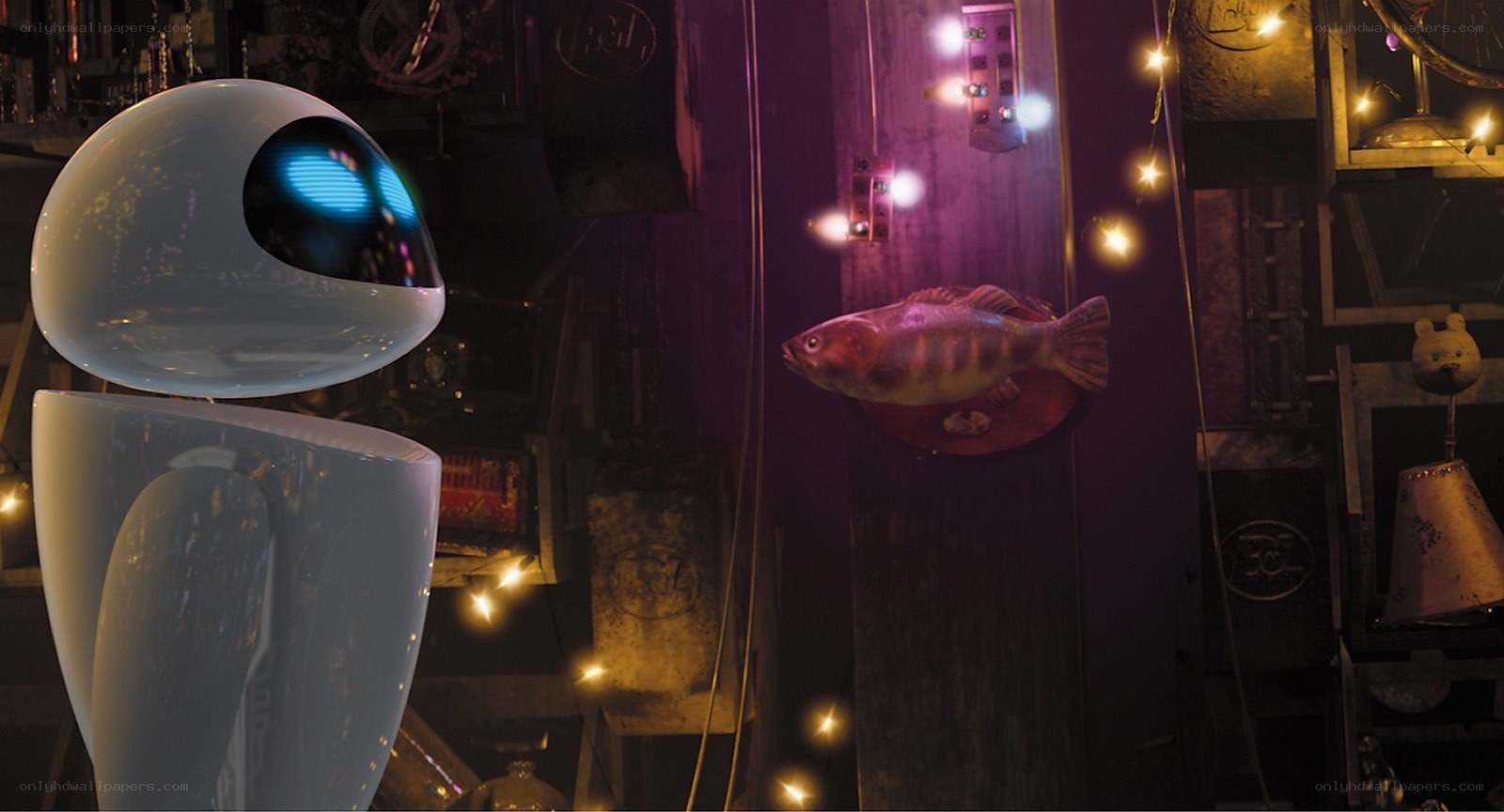 robot observing fish display