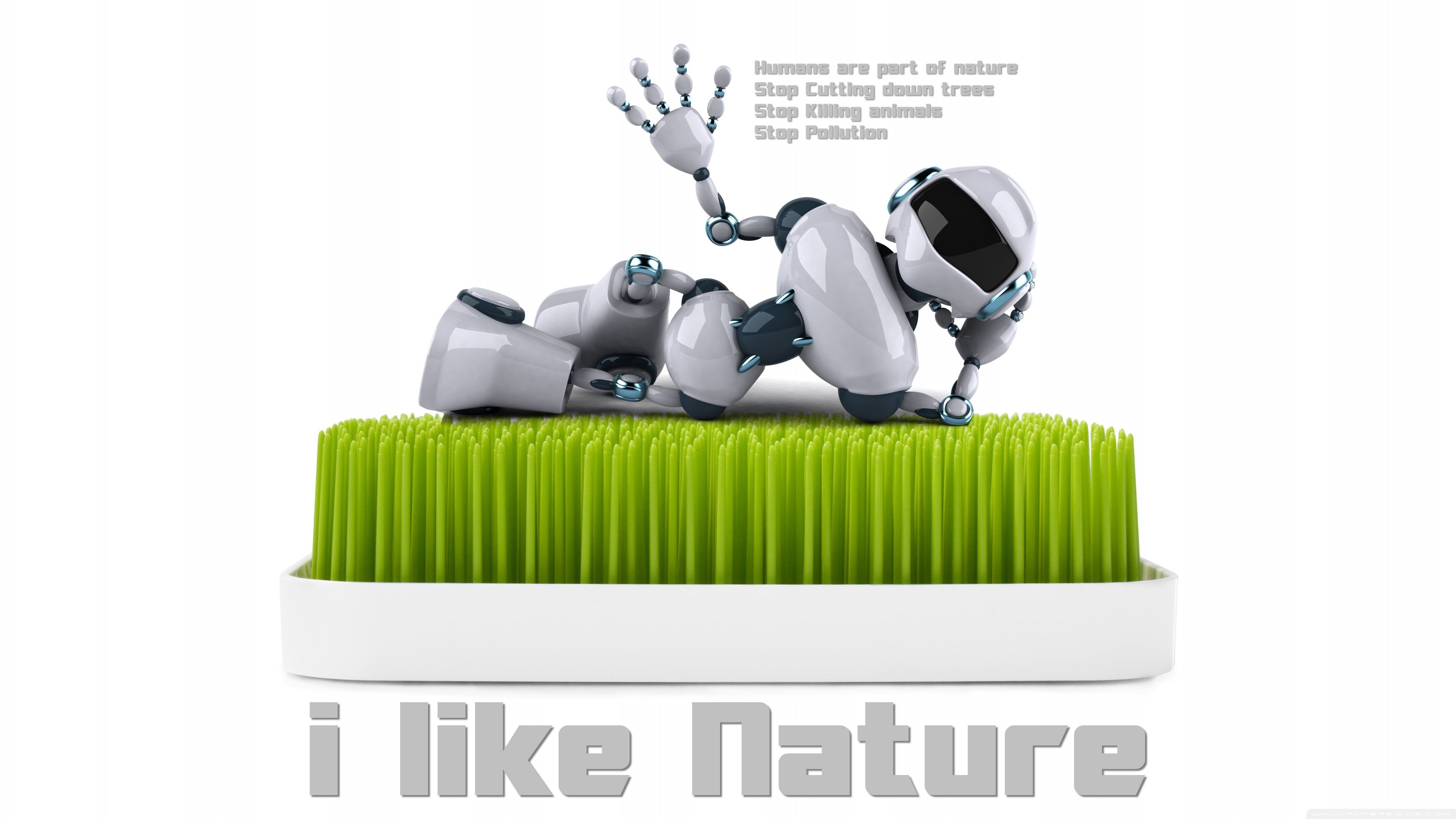 robot on grass