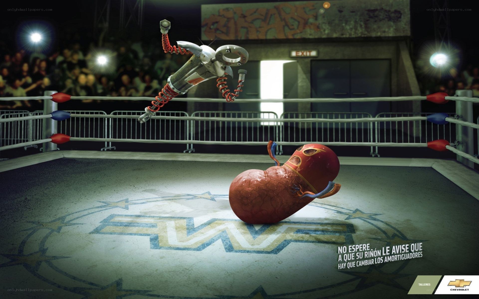 Robot vs organ in boxing ring