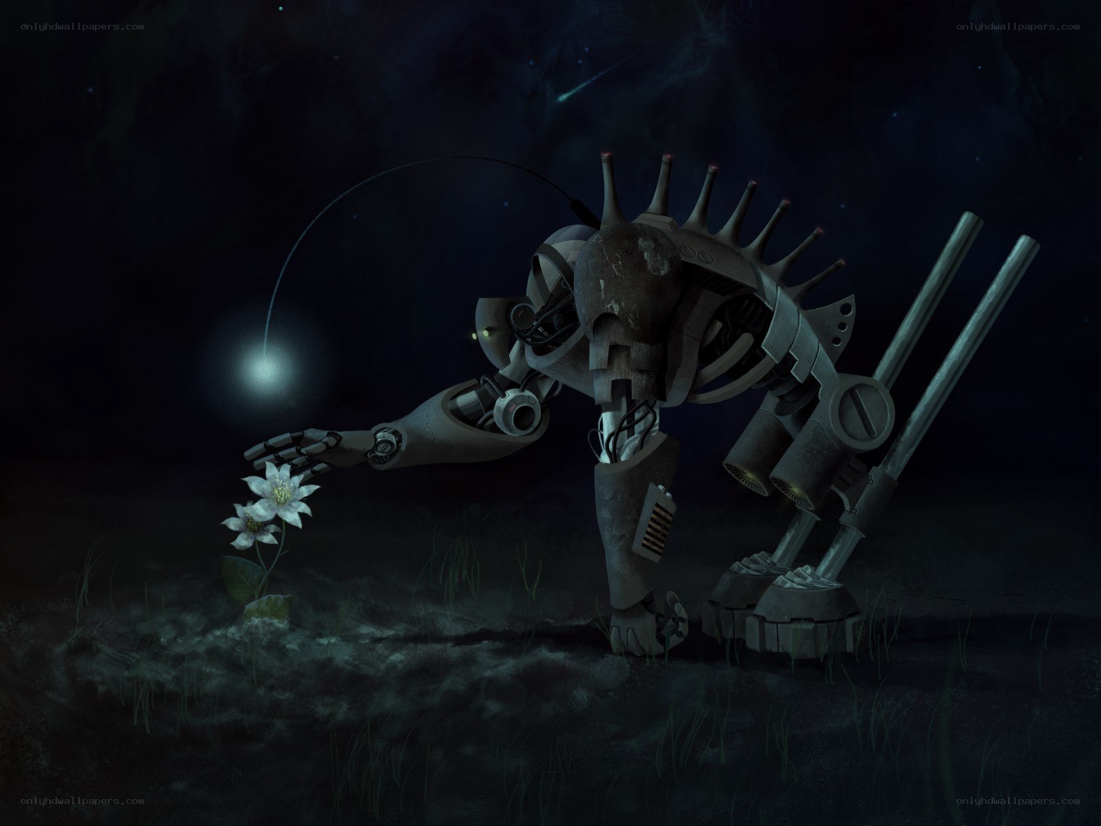 robot with a flower