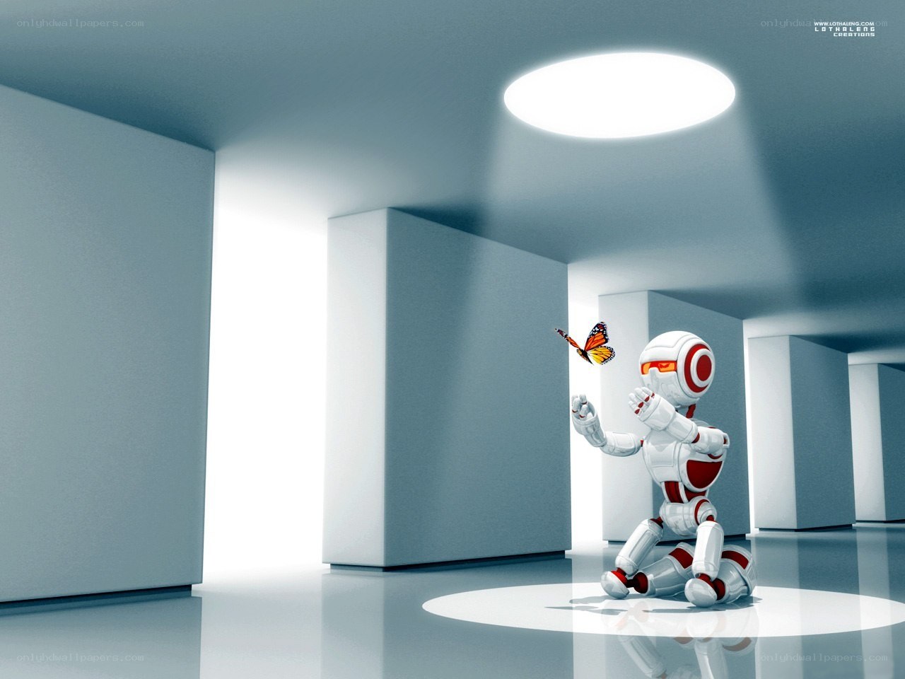 Robot with butterfly in corridor