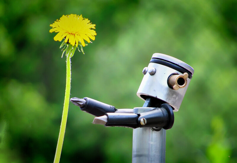 robot with dandelion