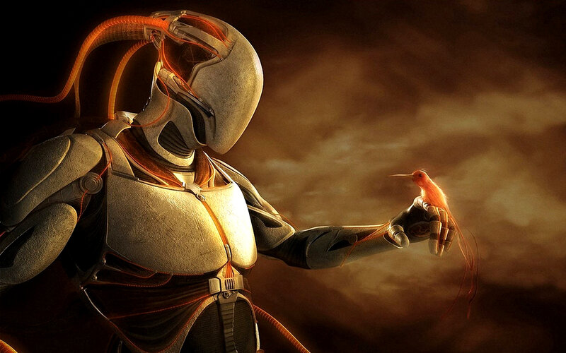 robot with hummingbird