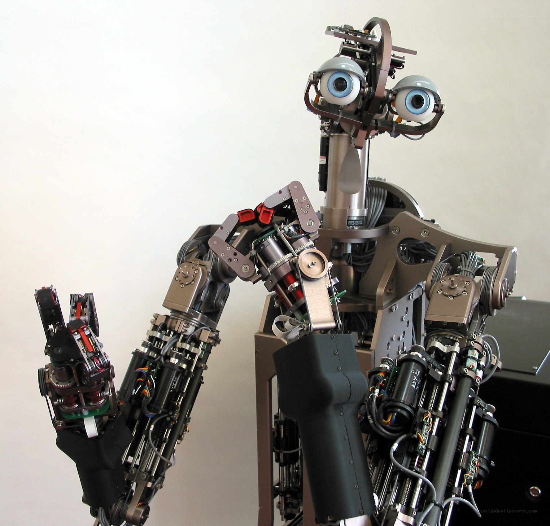 robot with mechanical arms